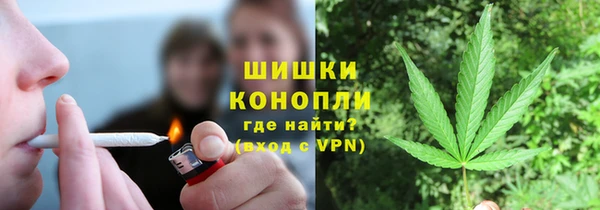 индика Белокуриха