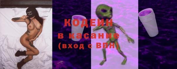 крисы Богородск