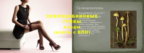 индика Белокуриха