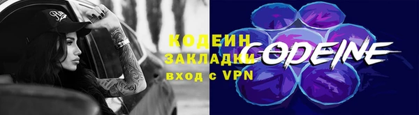 индика Белокуриха