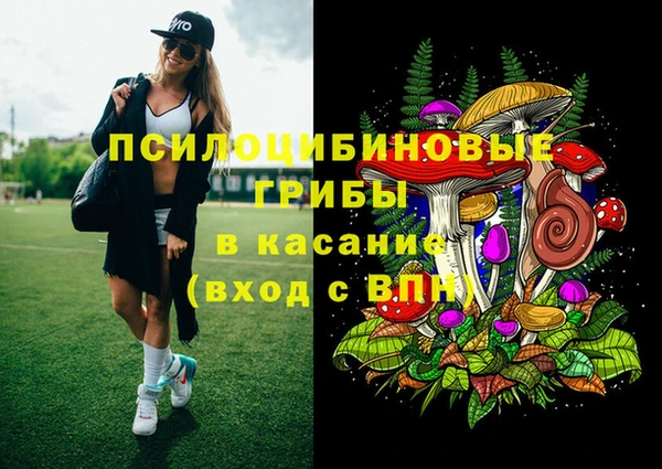 индика Белокуриха