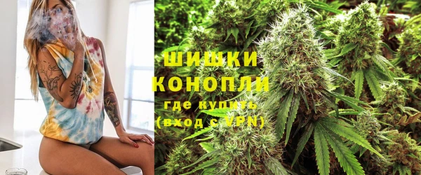 амф Беломорск