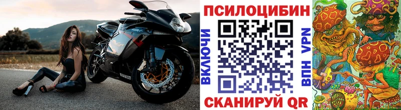 Галлюциногенные грибы мухоморы  закладки  Балей 